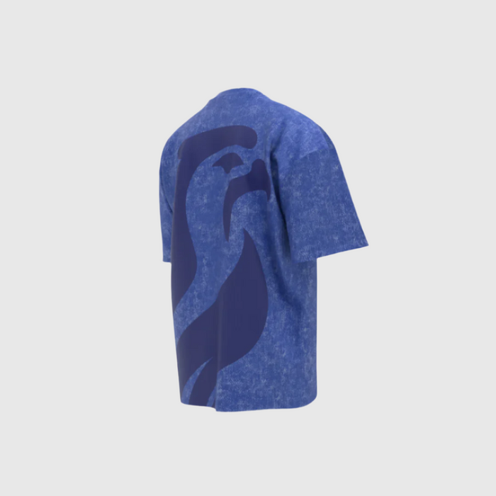 SaqrHead Washed T-Shirt-