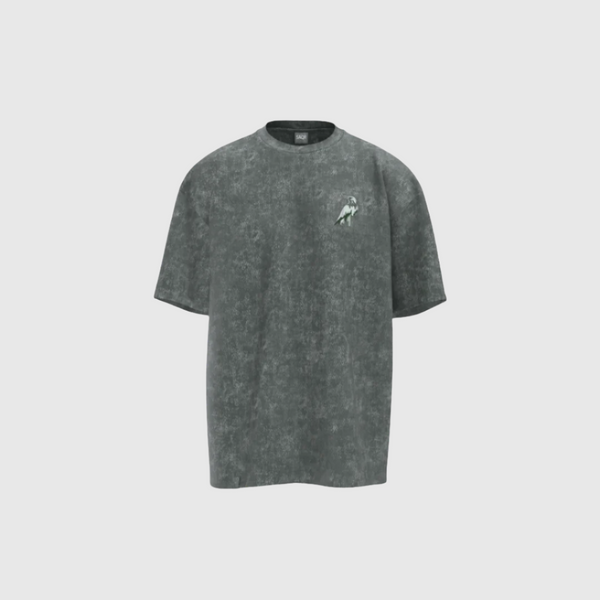 Apex Washed T-Shirt
