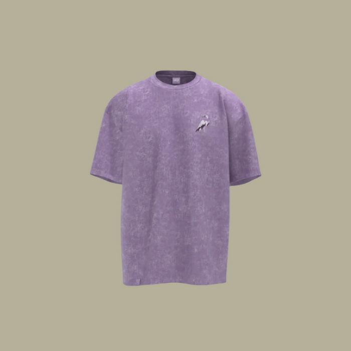 Apex Washed T-Shirt