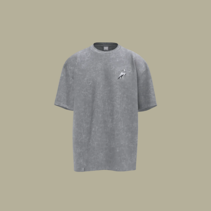 Apex Washed T-Shirt