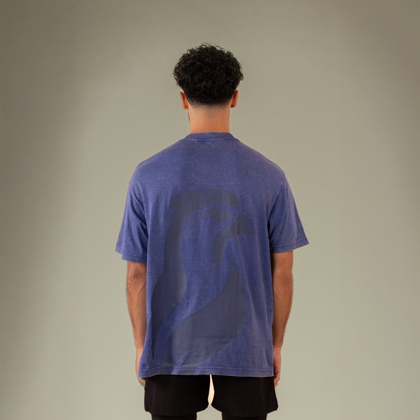 SaqrHead Washed T-Shirt