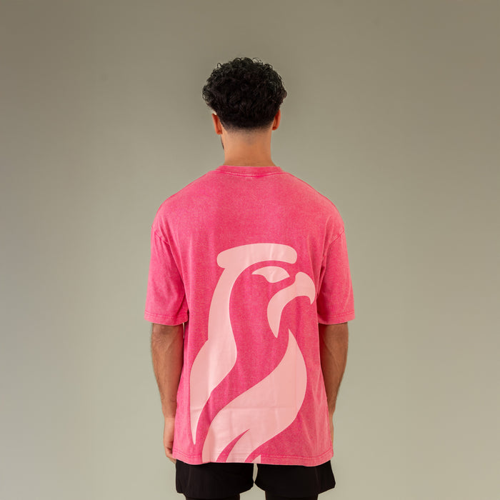 SaqrHead Washed T-Shirt